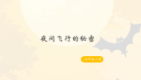 语文四年级上册夜间飞行的秘密图文ppt课件