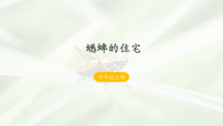 小学语文统编版（2024）四年级上册蟋蟀的住宅课堂教学ppt课件