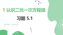 北师大版（2024）八年级上册（2024）1 认识二元一次方程组习题课件ppt