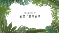 人教版 (2019)选择性必修3基因工程的应用教学演示ppt课件