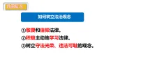 政治 (道德与法治)八年级上册（2024）学会依法办事示范课课件ppt