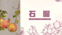 学前教育《《石榴》课件