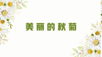 学前教育《美丽的秋菊》课件