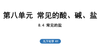 初中化学科粤版（2024）九年级下册（2024）常见的盐教案配套ppt课件