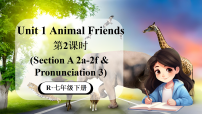 初中英语人教版（2024）七年级下册（2024）Unit 1 Animal friends授课ppt课件