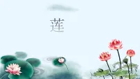 学前教育《莲》课件