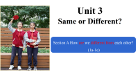 初中英语人教版（2024）八年级上册（2024）Unit 3 Same or Different? Section B 1a-1e教学演示课件ppt