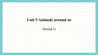 科普版（2024）三年级上册（2024）Unit 5 Animals around us授课ppt课件