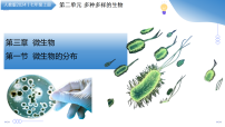 初中生物人教版（2024）七年级上册（2024）微生物的分布教学ppt课件