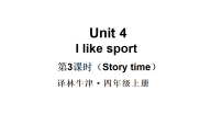 译林版（三起）（2024）四年级上册（2024）Unit 4 I like sport教学ppt课件