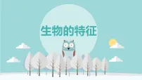 人教版（2024）七年级上册（2024）生物的特征集体备课ppt课件