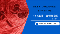 苏教版（2024）八年级上册（2024）第1节 血液、血管和心脏备课ppt课件