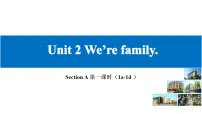 英语七年级上册（2024）Unit 2 We're Family! Section A授课ppt课件