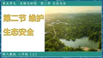 人教版（2024）八年级上册（2024）第二节 维护生态安全背景图ppt课件