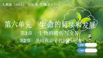 人教版（2024）八年级下册（2024）第二节 基因在亲子代间的传递课文课件ppt