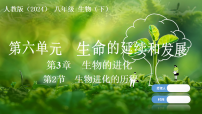 初中生物人教版（2024）八年级下册（2024）第二节 生物进化的历程评课ppt课件
