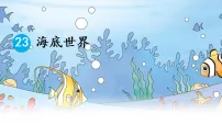 小学语文统编版（2024）三年级下册海底世界示范课ppt课件