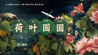 小学语文统编版（2024）一年级下册荷叶圆圆课堂教学课件ppt