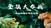 人教版（2024）七年级上册（2024）两栖动物和爬行动物示范课ppt课件