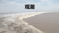 小学语文统编版（2024）四年级上册观潮集体备课ppt课件