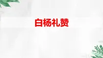 人教部编版（2024）八年级上册（2024）16 白杨礼赞/茅盾课文内容课件ppt