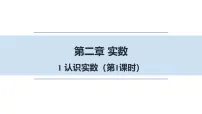 北师大版（2024）八年级上册（2024）1 认识实数背景图课件ppt