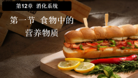 初中生物苏教版（2024）八年级上册（2024）第1节 食物中的营养物质课文ppt课件