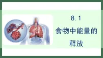 初中生物北师大版（2024）七年级下册（2024）食物中能量的释放多媒体教学ppt课件