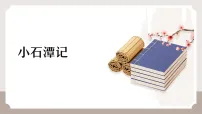 初中语文人教部编版（2024）八年级下册（2024）第三单元阅读10 小石潭记教案配套ppt课件