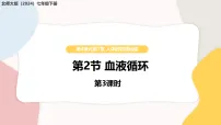 北师大版（2024）七年级下册（2024）血液循环教学ppt课件