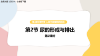 初中生物尿的形成与排出教学ppt课件