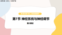 北师大版（2024）七年级下册（2024）神经系统与神经调节教学ppt课件