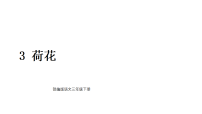 小学语文统编版（2024）三年级下册（2024）3 荷花教课内容课件ppt