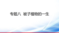 )2026年中考生物一轮复习  被子植物的一生课件