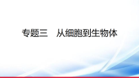 )2026年中考生物一轮复习从细胞到生物体课件
