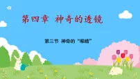 物理八年级全册（2024）神奇的“眼睛”教课内容课件ppt