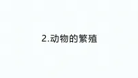 教科版（2024）三年级下册（2024）2.动物的繁殖作业ppt课件