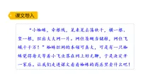 小学统编版（2024）19 蜘蛛开店教课内容课件ppt
