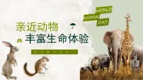 初中语文人教部编版（2024）七年级上册（2024）亲近动物，丰富生命体验授课课件ppt