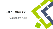 中考生物学一轮专题复习课件（人教版）6.1　人的生殖 生物的生殖