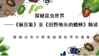 初中第五单元整本书阅读《昆虫记》授课课件ppt