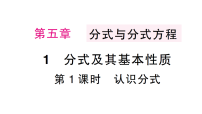 北师大版（2024）八年级下册（2024）1  分式及其基本性质作业ppt课件