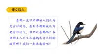 小学语文统编版（2024）二年级下册（2024）第四单元・阅读10 枫树上的喜鹊教学ppt课件