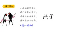 小学语文统编版（2024）三年级下册（2024）2 燕子教学课件ppt
