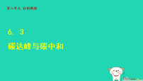 化学九年级上册（2024）碳达峰与碳中和评课ppt课件