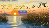语文大雁归来/利奥波德教学ppt课件