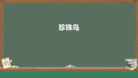 小学语文统编版（2024）五年级上册珍珠鸟评课ppt课件