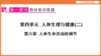 第四单元 人体生理与健康(二) 第六章 人体生命活动的调节-2026年中考生物一轮复习课件