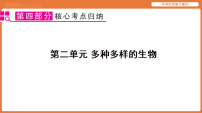 核心考点归纳 第二单元 多种多样的生物-2026年中考生物二轮专题复习课件