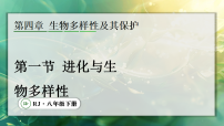 生物八年级下册（2024）第一节 进化与生物多样性课文内容ppt课件
